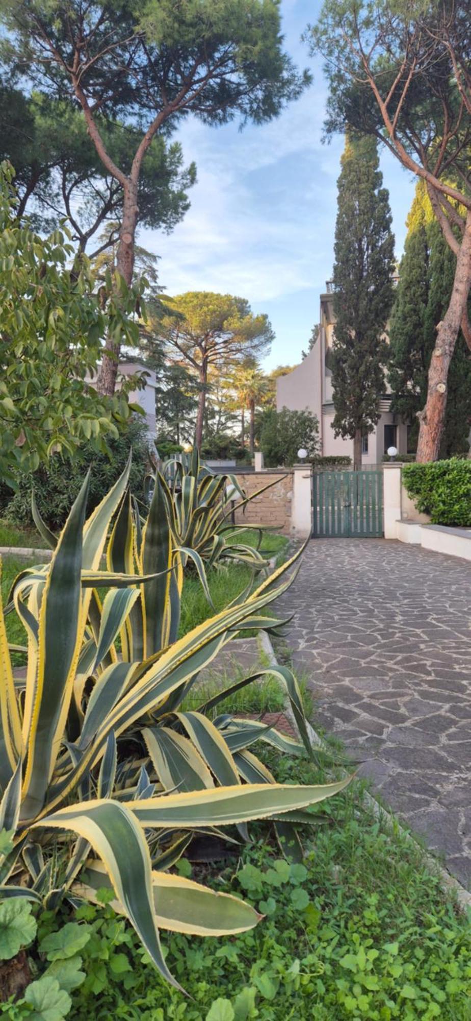 Guru Mostacciano Apartment ローマ エクステリア 写真